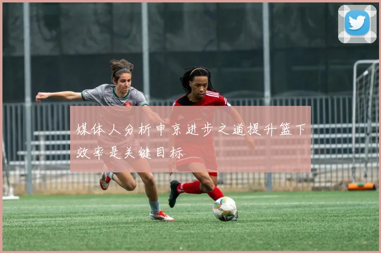 媒体人分析申京进步之道提升篮下效率是关键目标